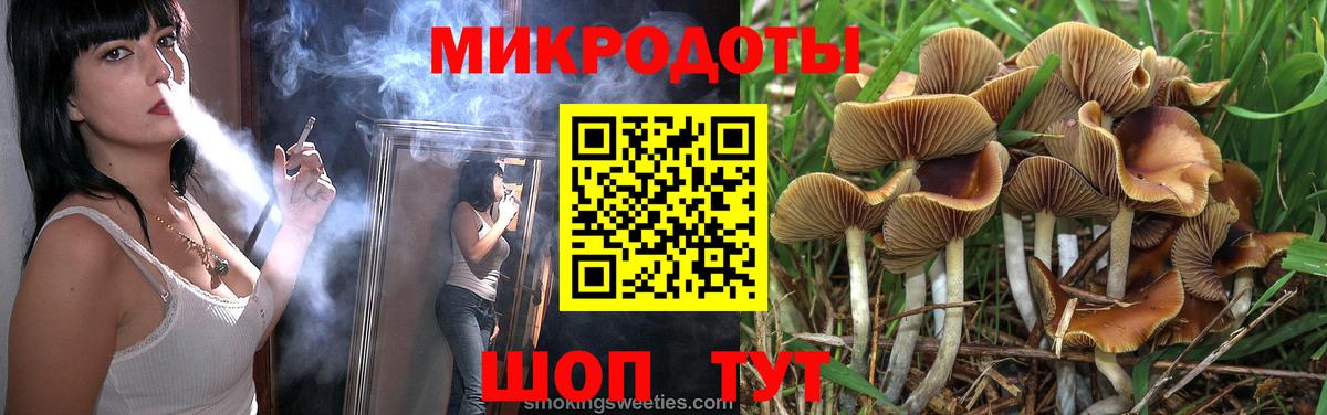 Псилоцибиновые грибы мухоморы Барабинск