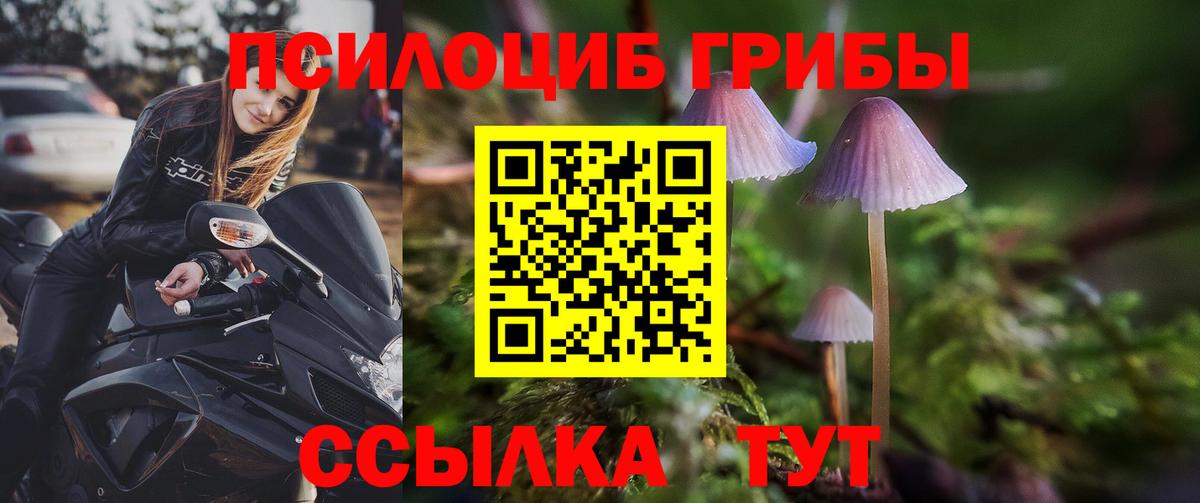 наркота  Галлюциногенные грибы Magic Shrooms  Вход с VPN  Барабинск 